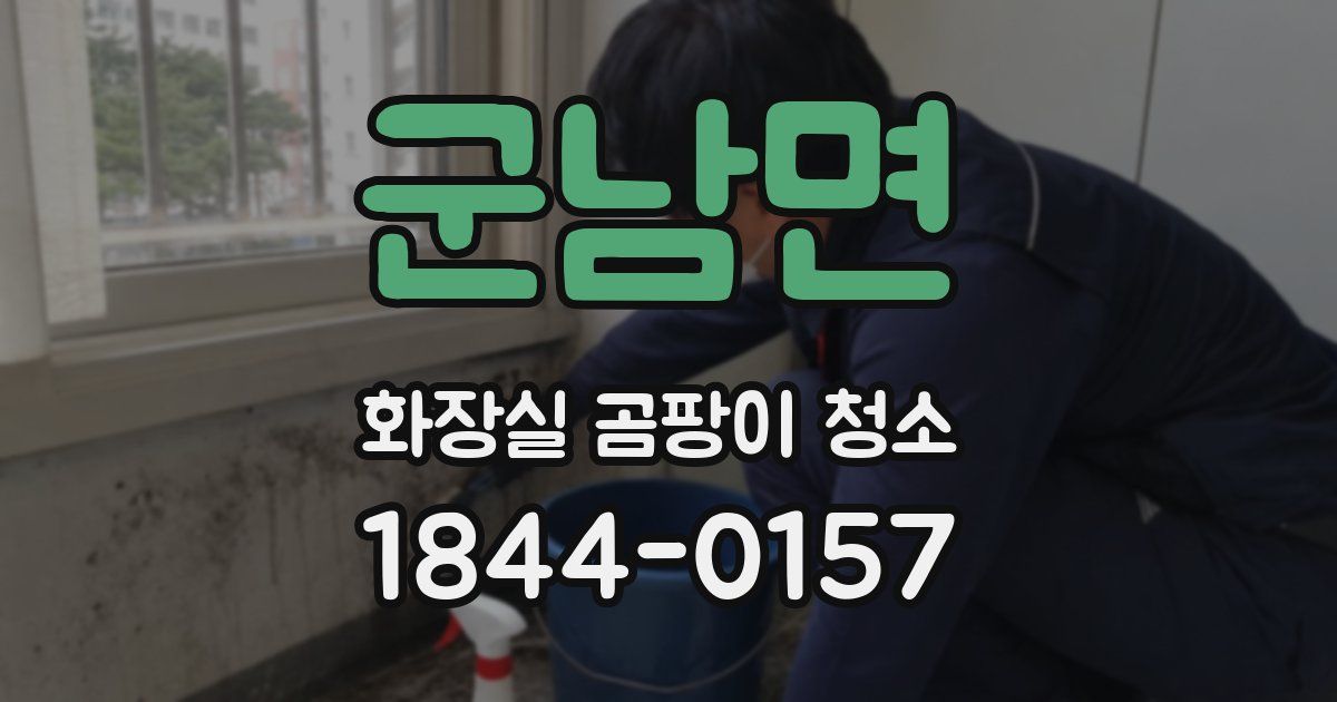 군남면 화장실 곰팡이 청소