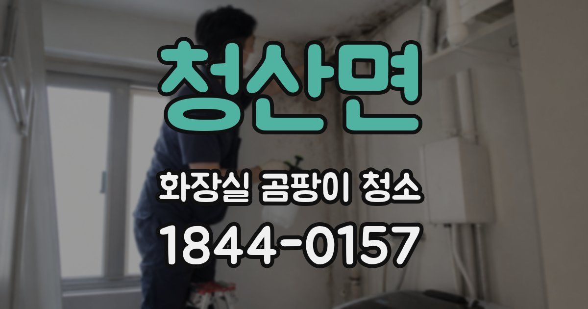 청산면 화장실 곰팡이 청소