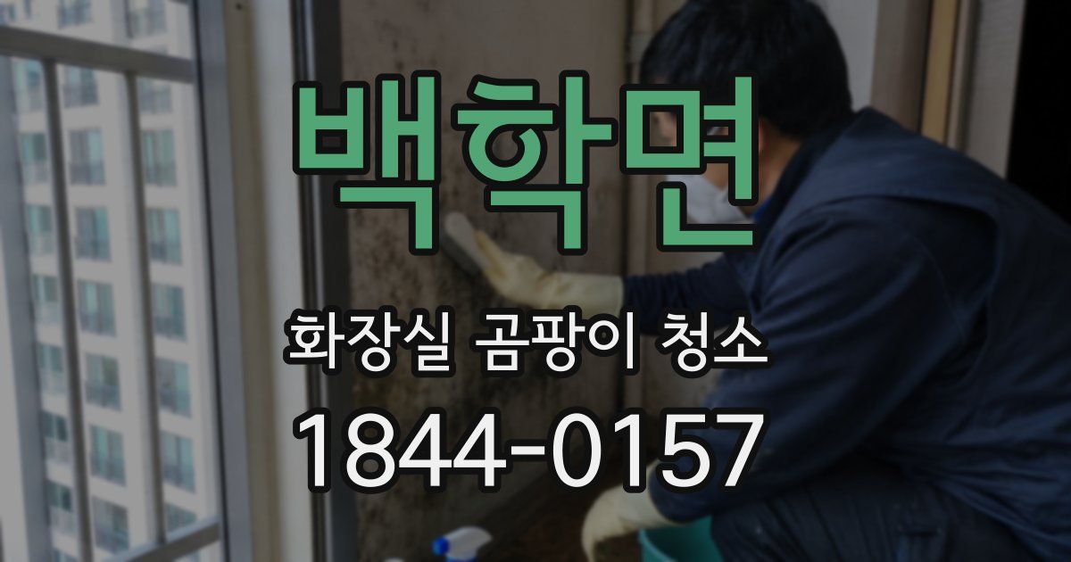 백학면 화장실 곰팡이 청소