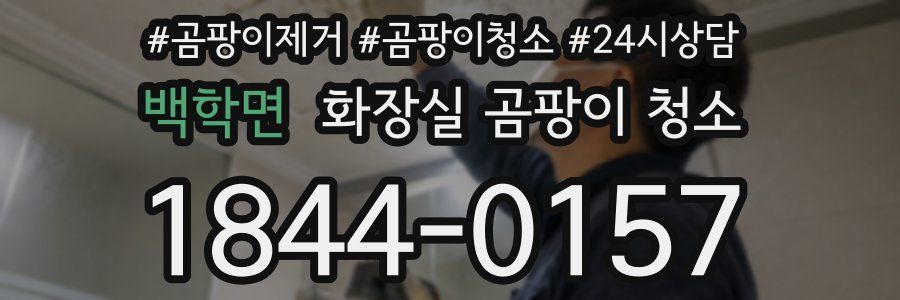 백학면 화장실 곰팡이 청소