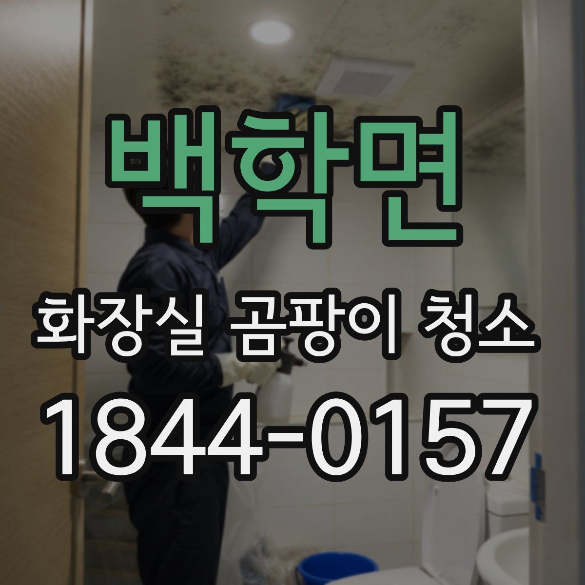 백학면 화장실 곰팡이 청소