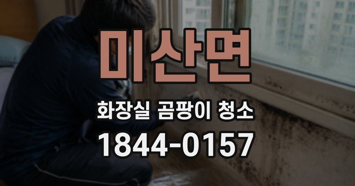 미산면 화장실 곰팡이 청소