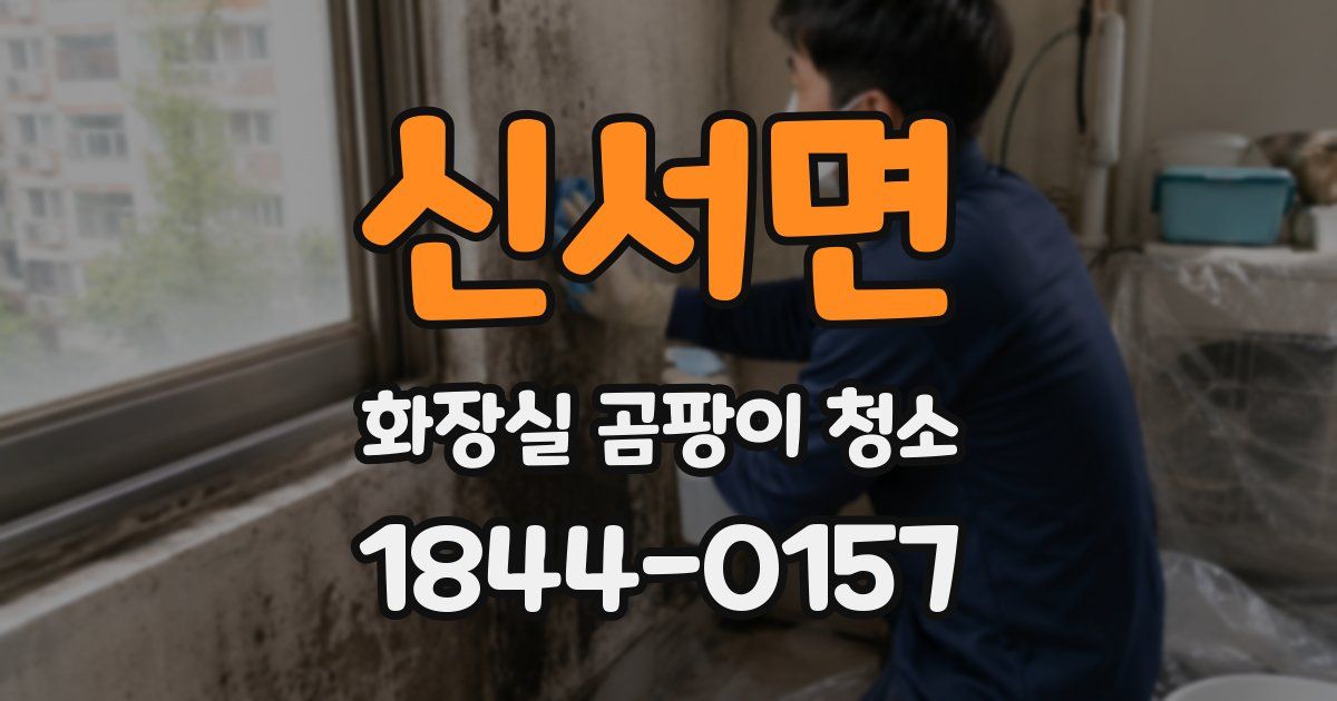 신서면 화장실 곰팡이 청소