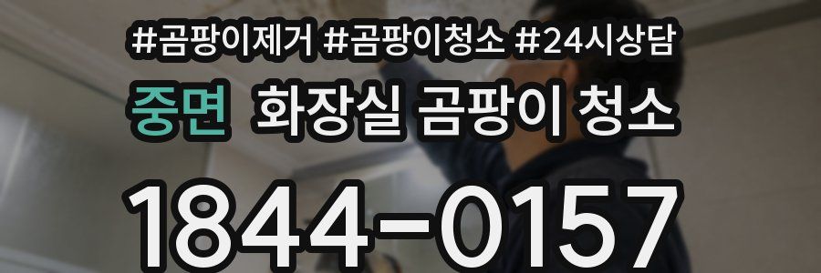 중면 화장실 곰팡이 청소