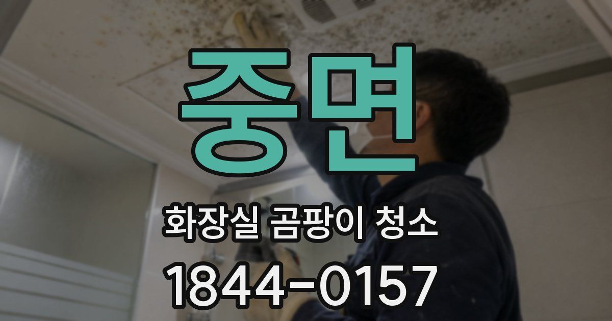중면 화장실 곰팡이 청소