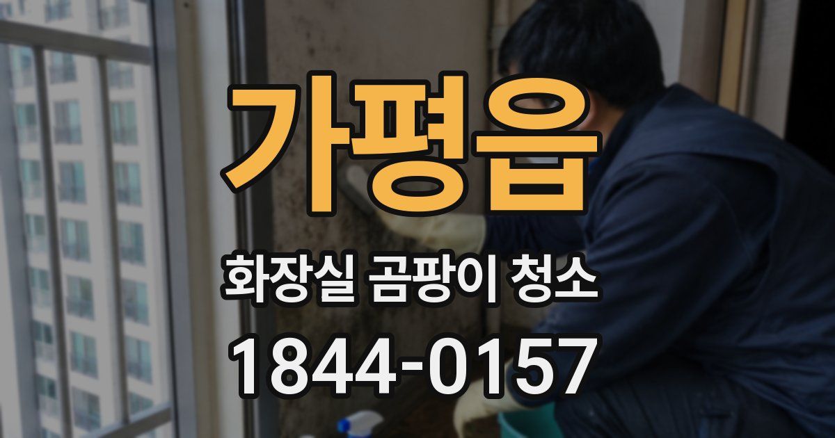 가평읍 화장실 곰팡이 청소