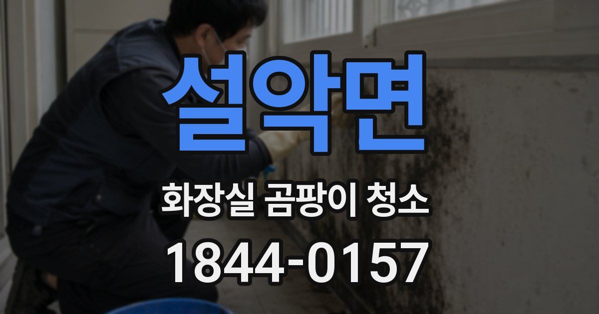 설악면 화장실 곰팡이 청소