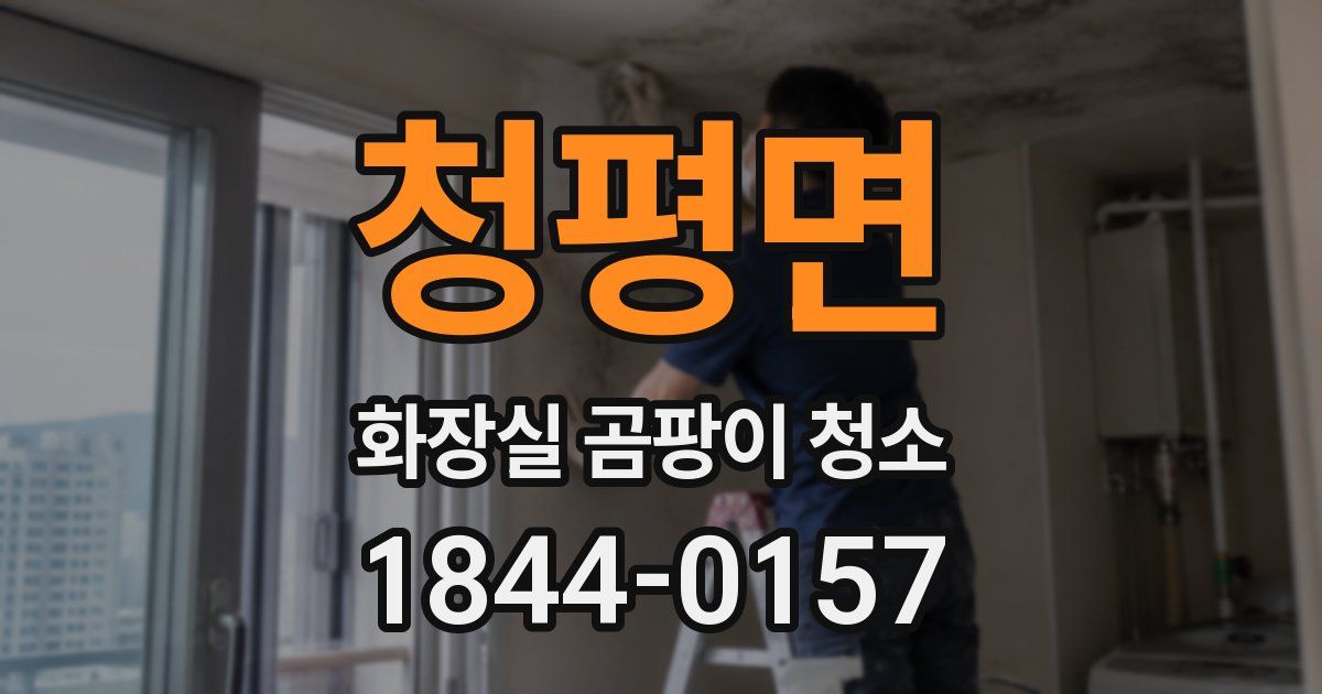 청평면 화장실 곰팡이 청소
