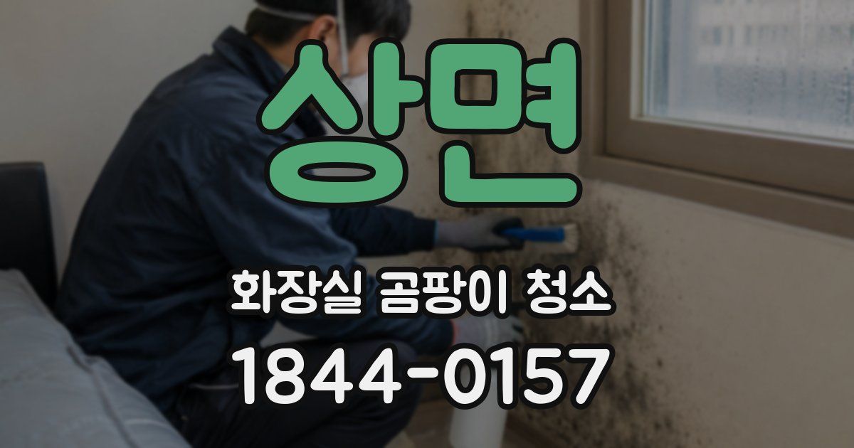 상면 화장실 곰팡이 청소