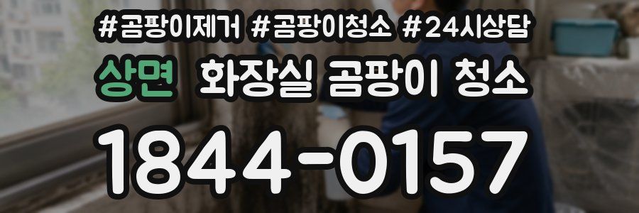 상면 화장실 곰팡이 청소