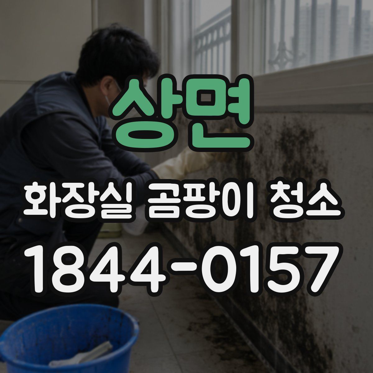 상면 화장실 곰팡이 청소