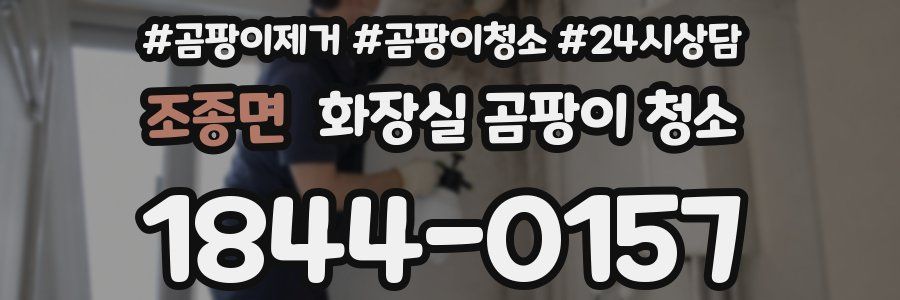조종면 화장실 곰팡이 청소