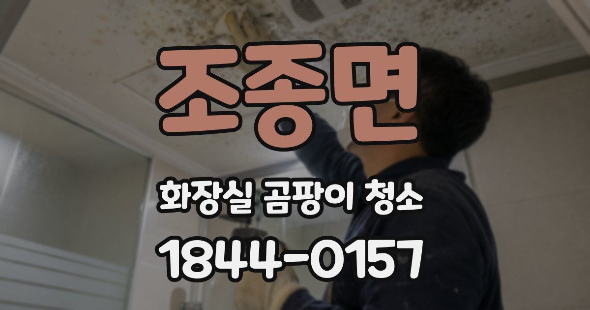 조종면 화장실 곰팡이 청소