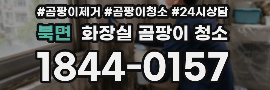 북면 화장실 곰팡이 청소