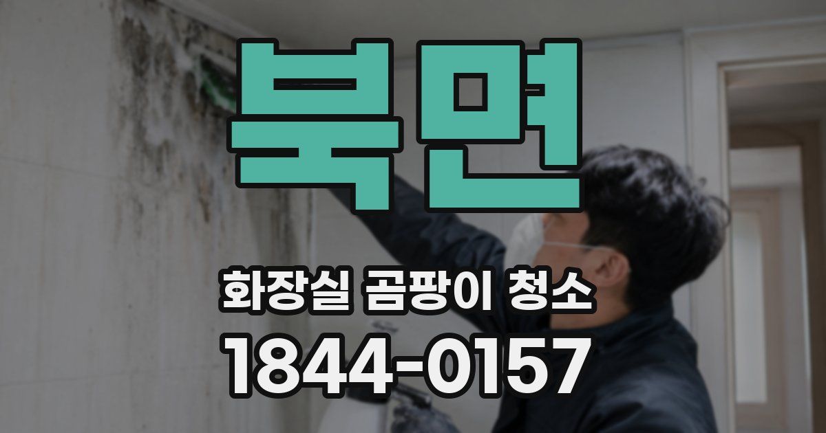 북면 화장실 곰팡이 청소