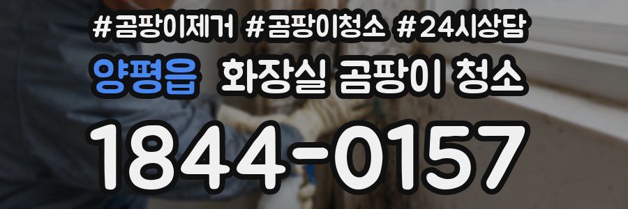 양평읍 화장실 곰팡이 청소