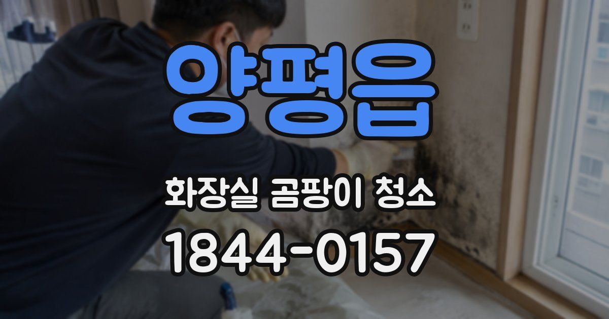 양평읍 화장실 곰팡이 청소