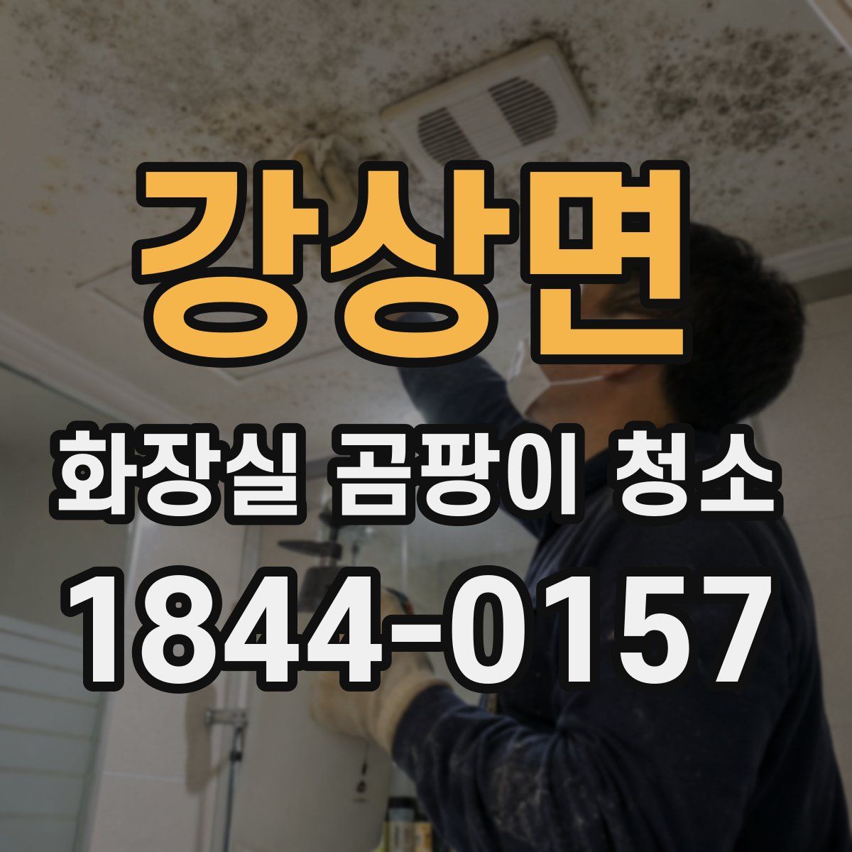 강상면 화장실 곰팡이 청소