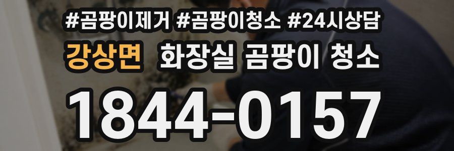 강상면 화장실 곰팡이 청소
