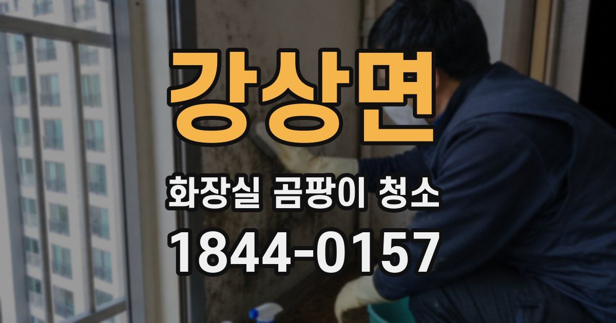 강상면 화장실 곰팡이 청소