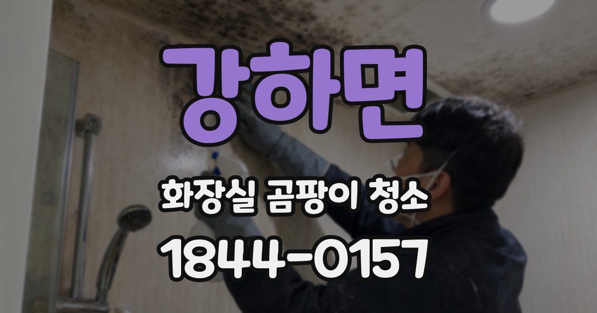 강하면 화장실 곰팡이 청소