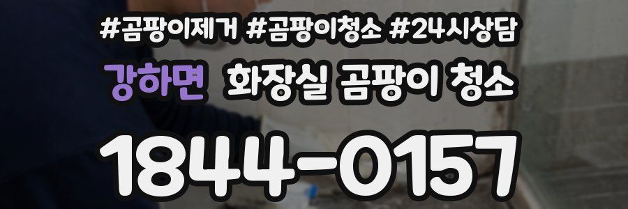강하면 화장실 곰팡이 청소