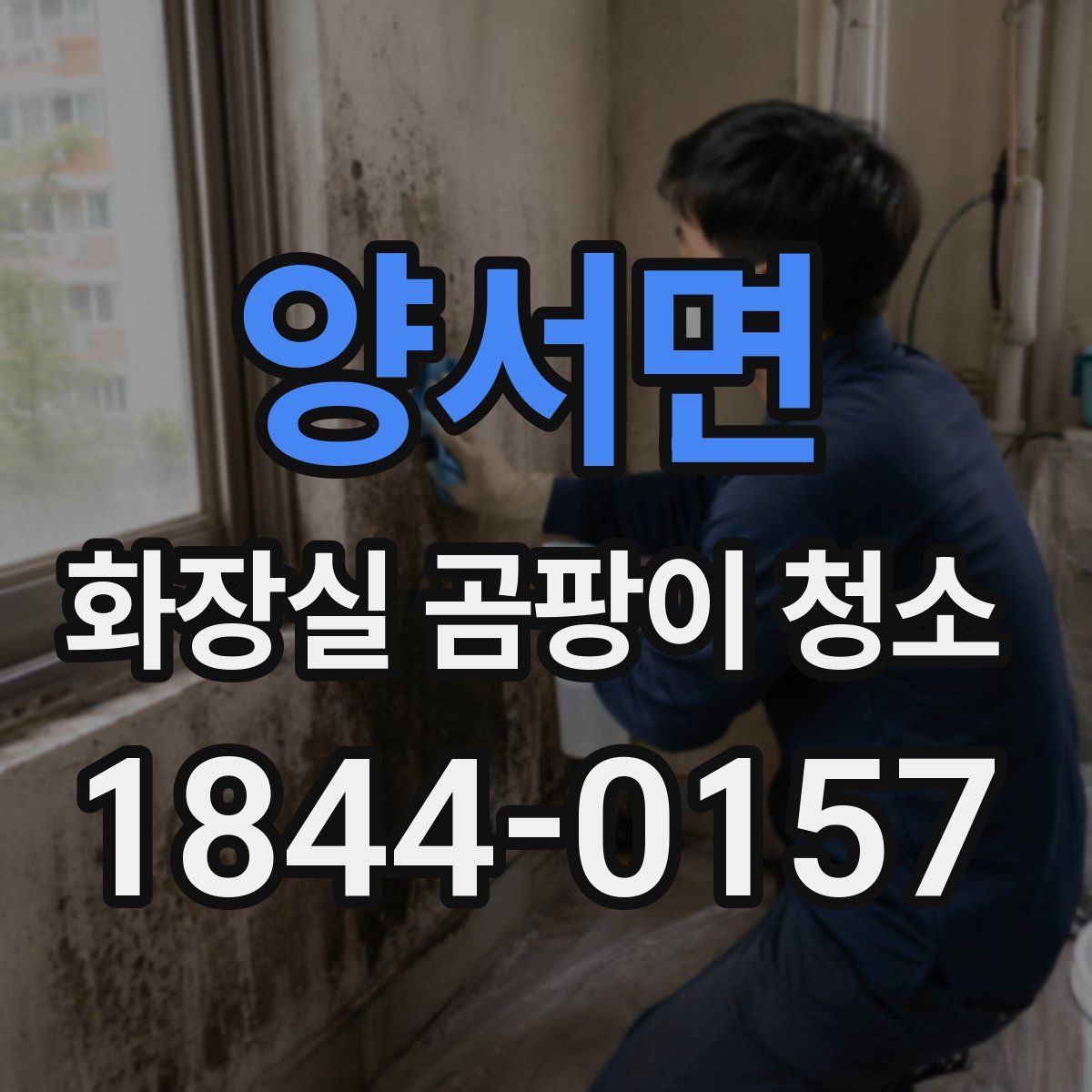 양서면 화장실 곰팡이 청소