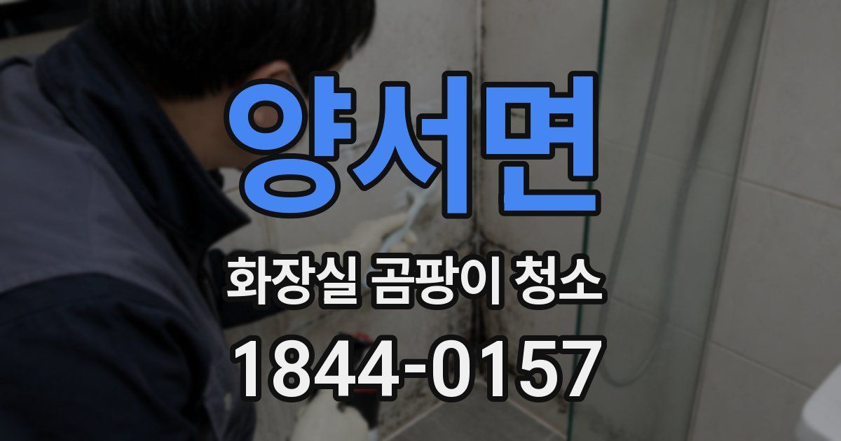 양서면 화장실 곰팡이 청소