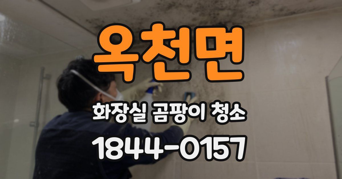옥천면 화장실 곰팡이 청소