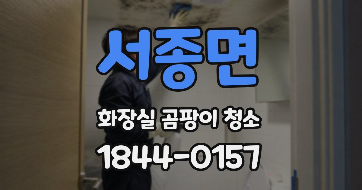 서종면 화장실 곰팡이 청소