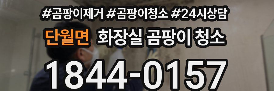 단월면 화장실 곰팡이 청소
