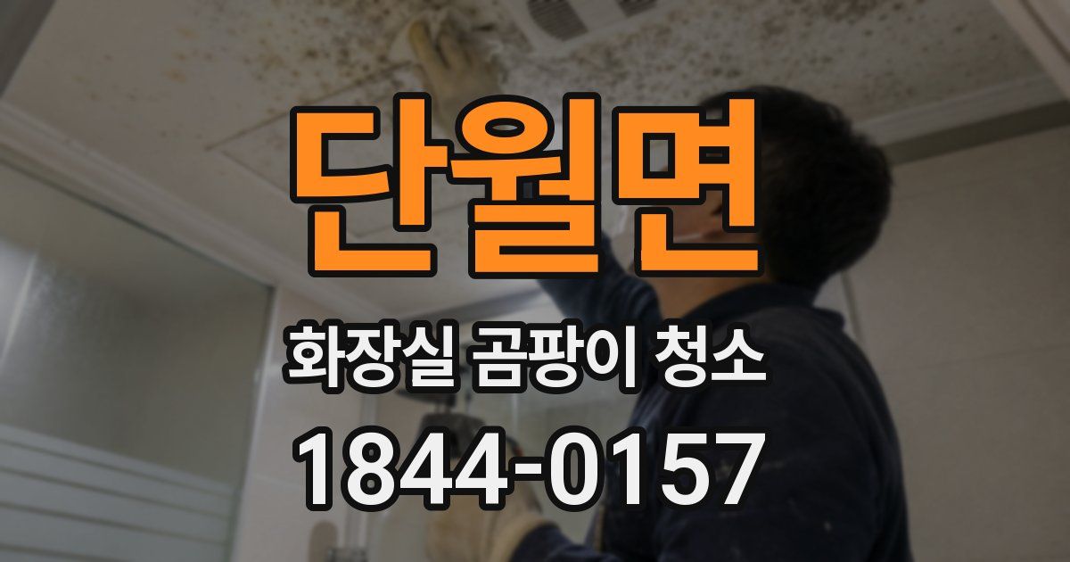 단월면 화장실 곰팡이 청소