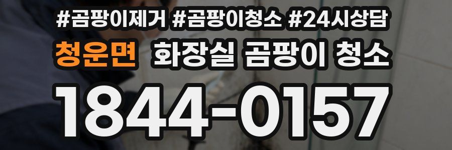 청운면 화장실 곰팡이 청소