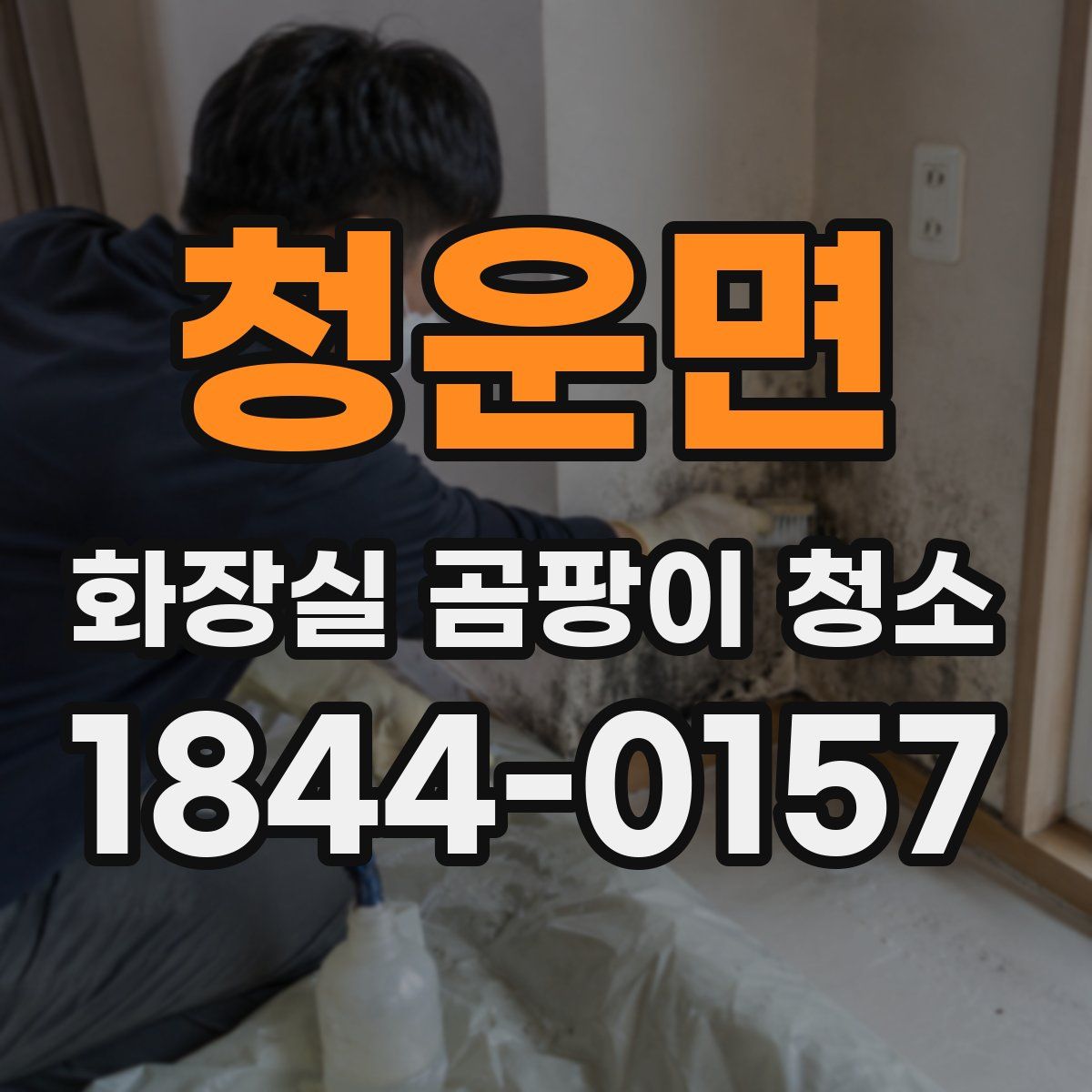 청운면 화장실 곰팡이 청소