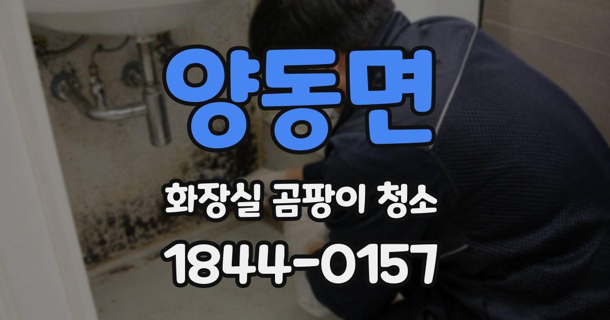 양동면 화장실 곰팡이 청소