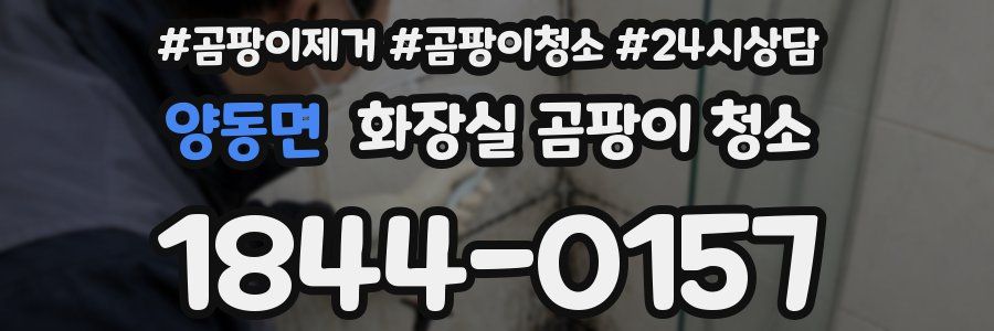 양동면 화장실 곰팡이 청소