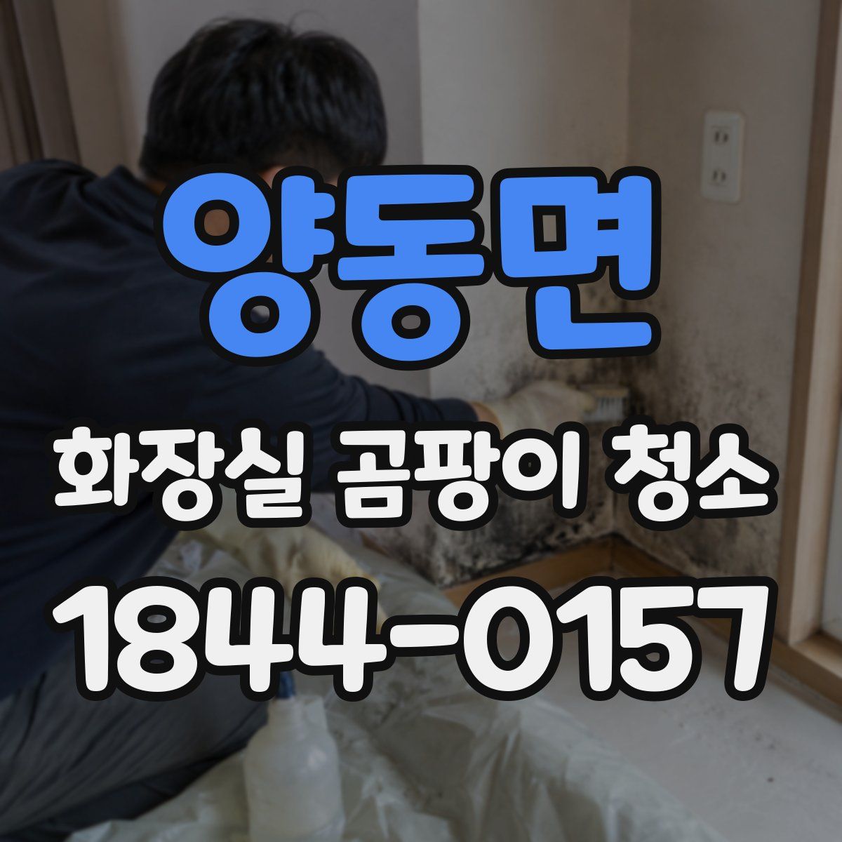 양동면 화장실 곰팡이 청소