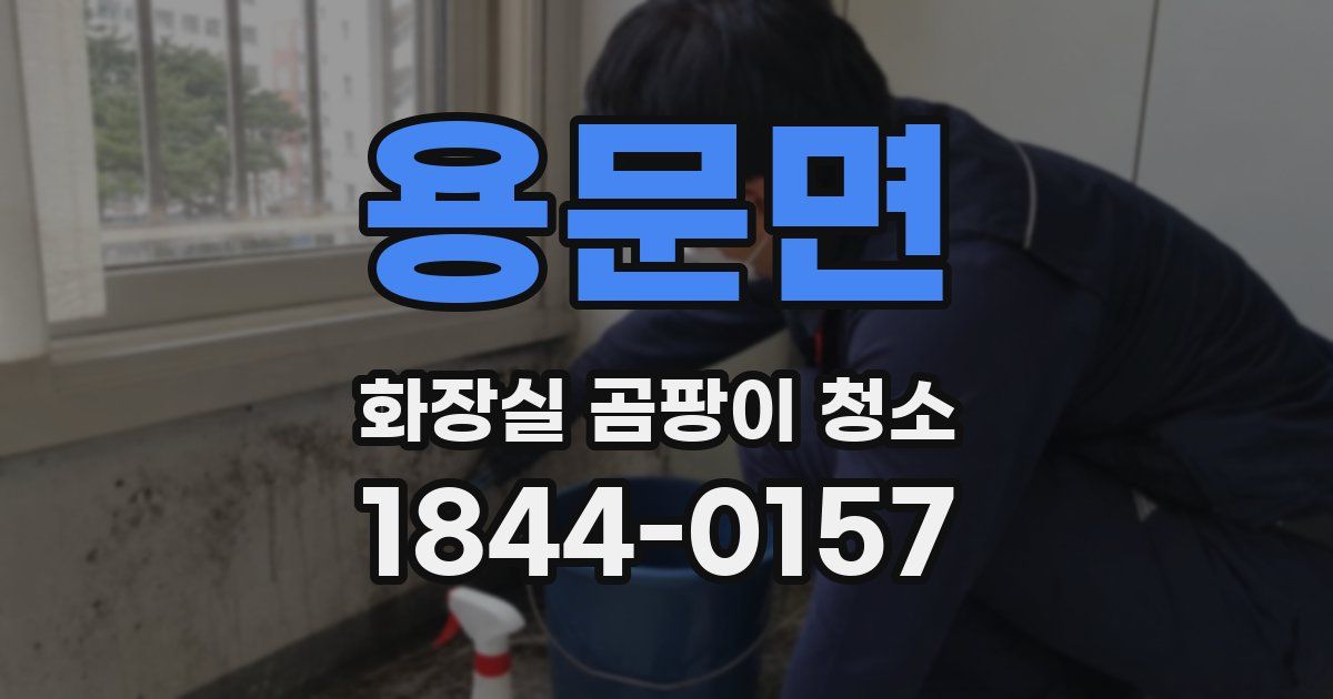용문면 화장실 곰팡이 청소