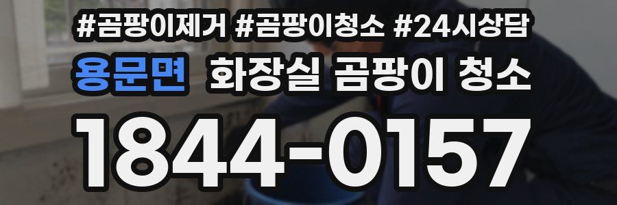 용문면 화장실 곰팡이 청소