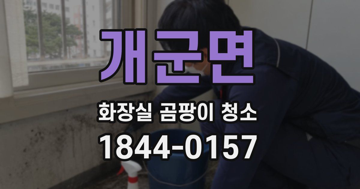 개군면 화장실 곰팡이 청소