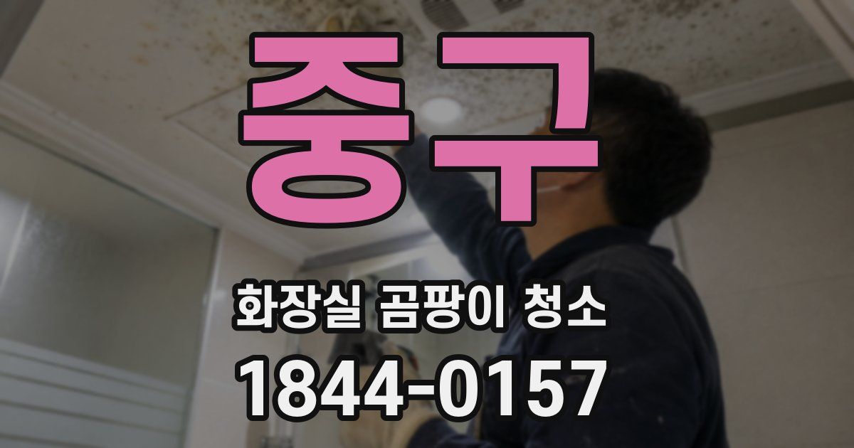 중구 화장실 곰팡이 청소