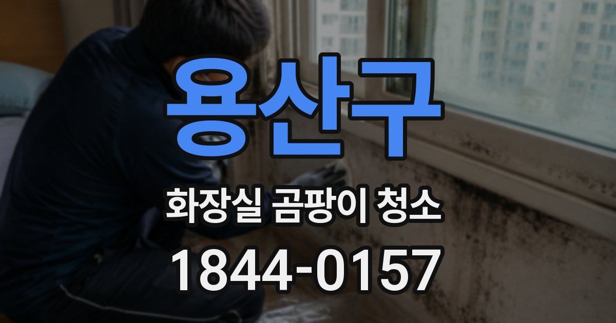 용산구 화장실 곰팡이 청소