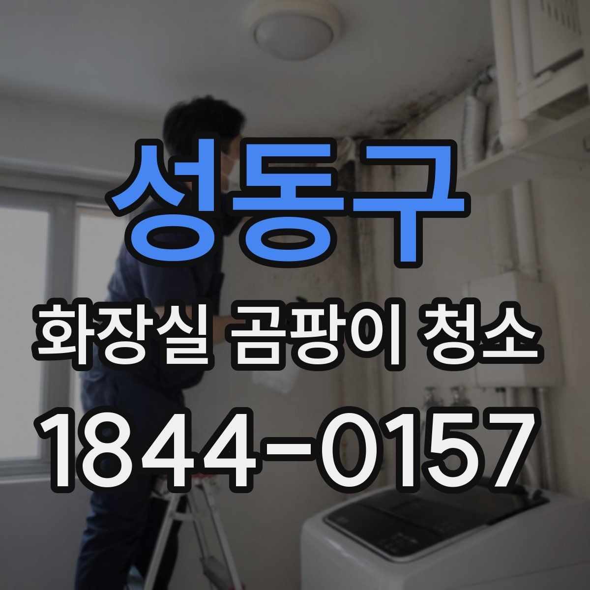 성동구 화장실 곰팡이 청소 코너 틈새와 타일 경계선 관리법