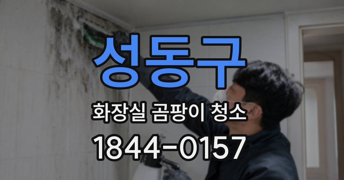 성동구 화장실 곰팡이 청소