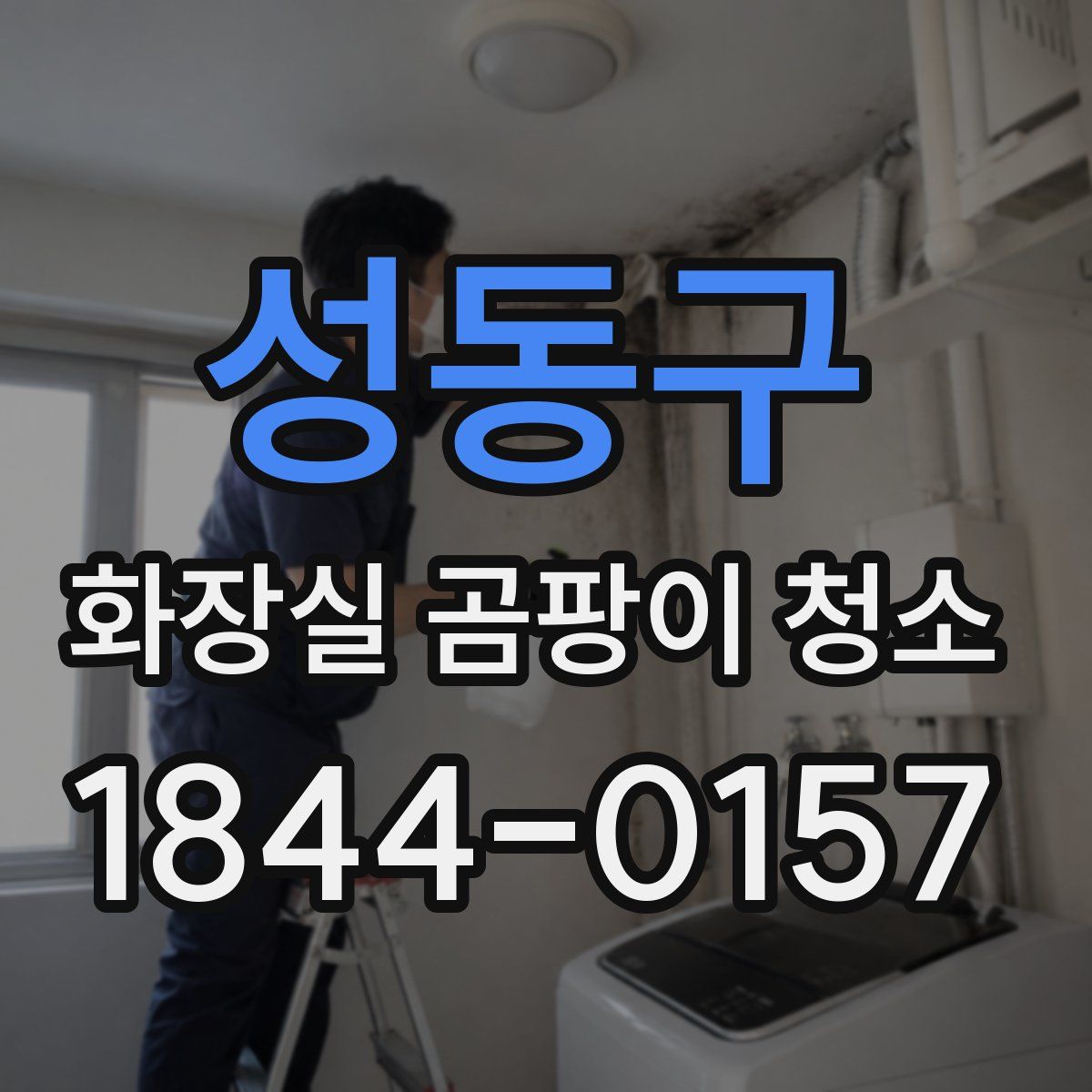 성동구 화장실 곰팡이 청소