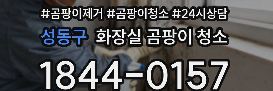 성동구 화장실 곰팡이 청소