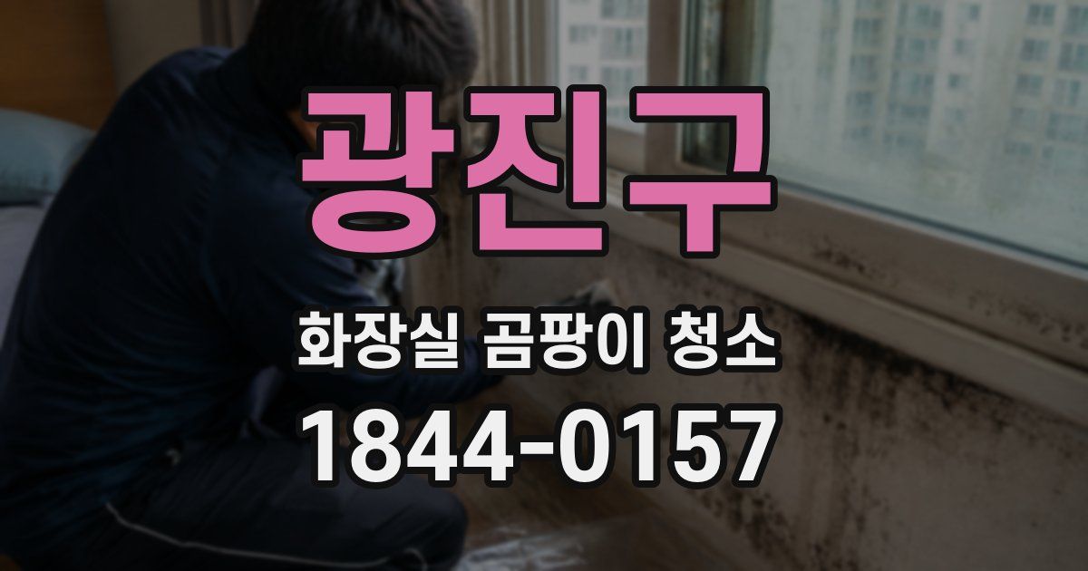 광진구 화장실 곰팡이 청소