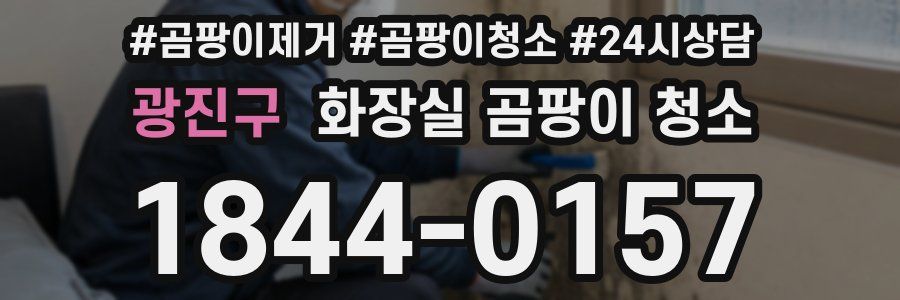 광진구 화장실 곰팡이 청소