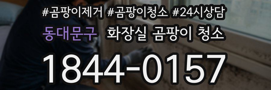 동대문구 화장실 곰팡이 청소