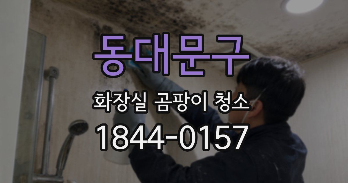 동대문구 화장실 곰팡이 청소